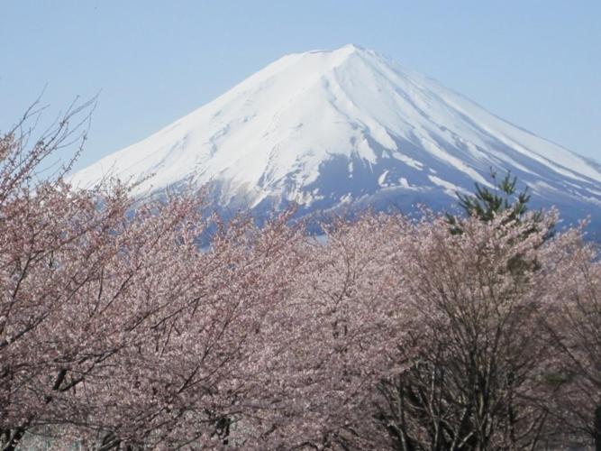 富士河口湖 秀峰阁 湖月酒店 外观 照片